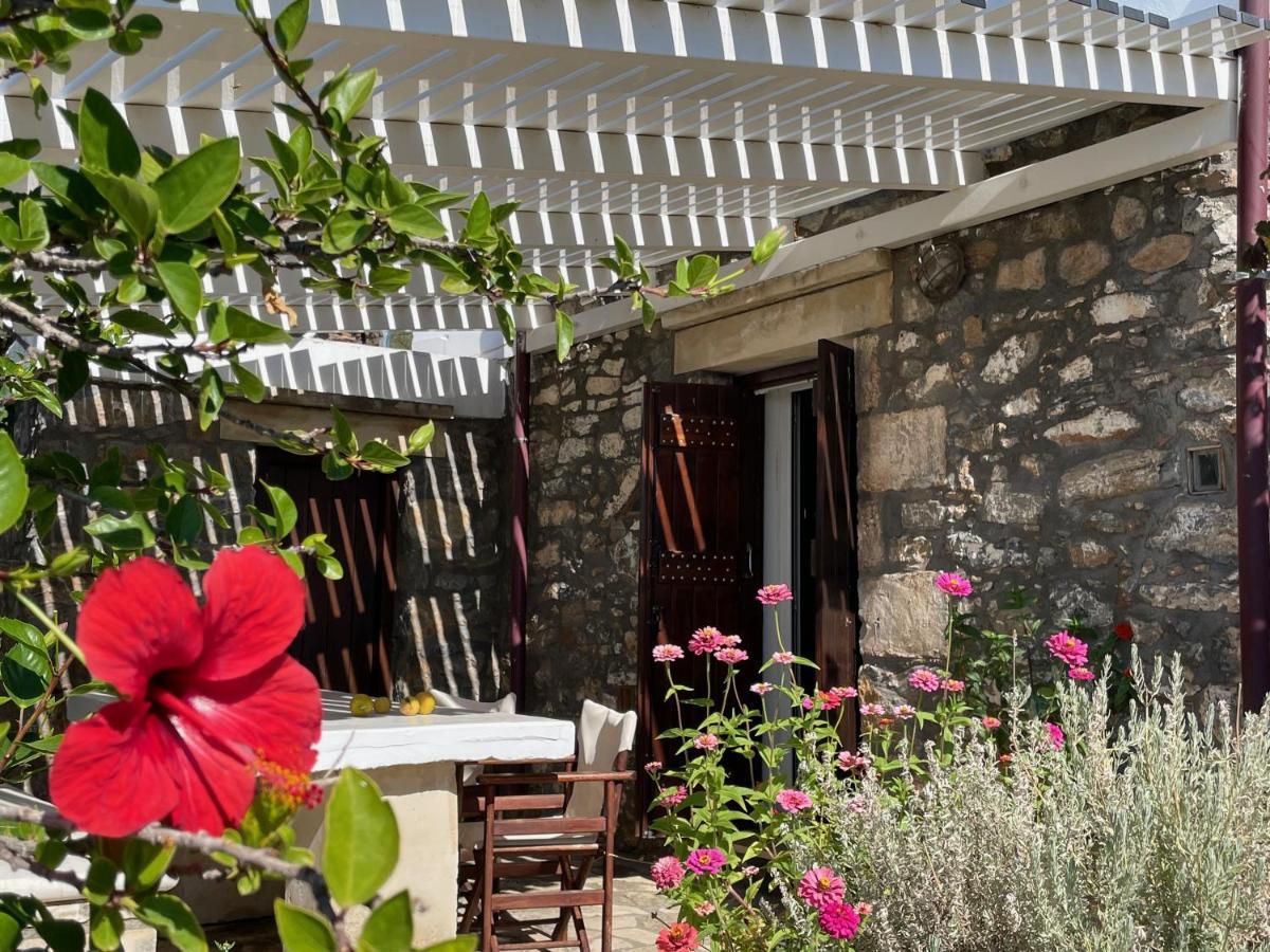 Villa La Familia Maison Traditionnelle Plakiás Exterior foto